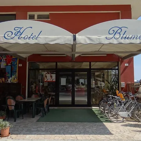 布鲁门酒店 酒店 里米尼