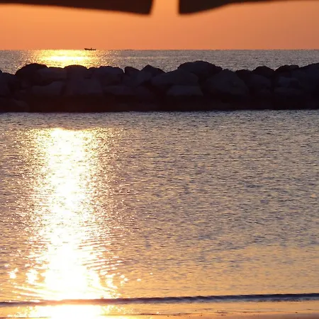 酒店 布鲁门酒店 里米尼