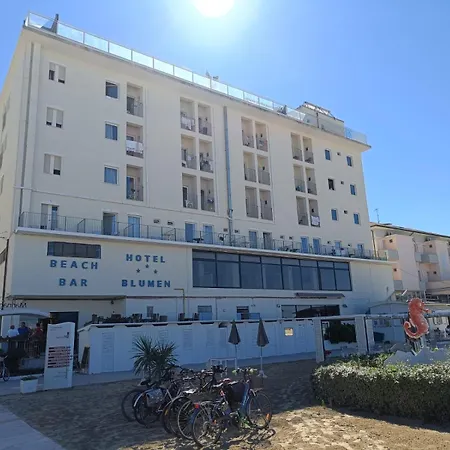 酒店 布鲁门酒店 里米尼