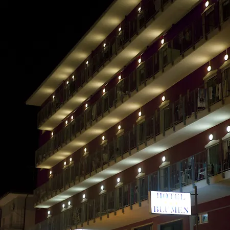 酒店 布鲁门酒店 3*